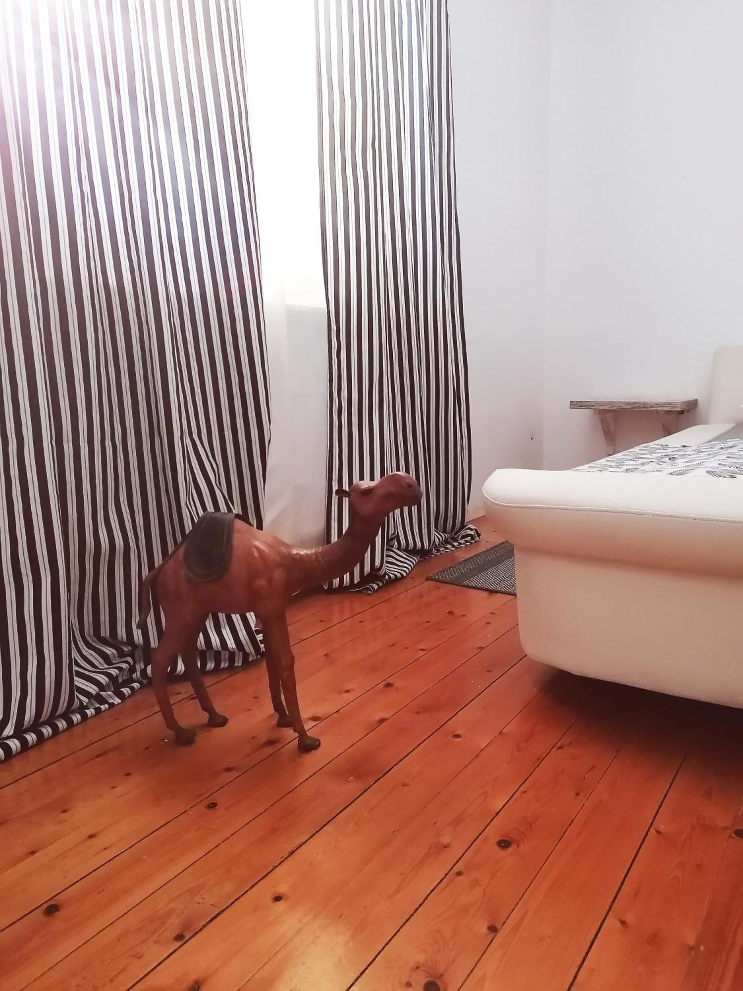 Apartman Centar Kruševac Exteriör bild